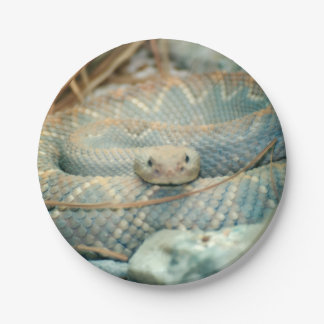 Snake Paper Plates