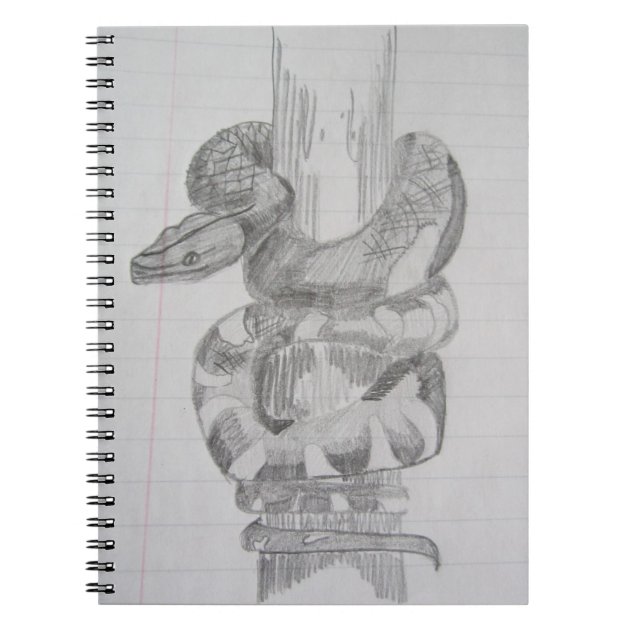 Draw a snake 🐍 #draw #drawinglesson #drawsnake #artturtorial - YouTube