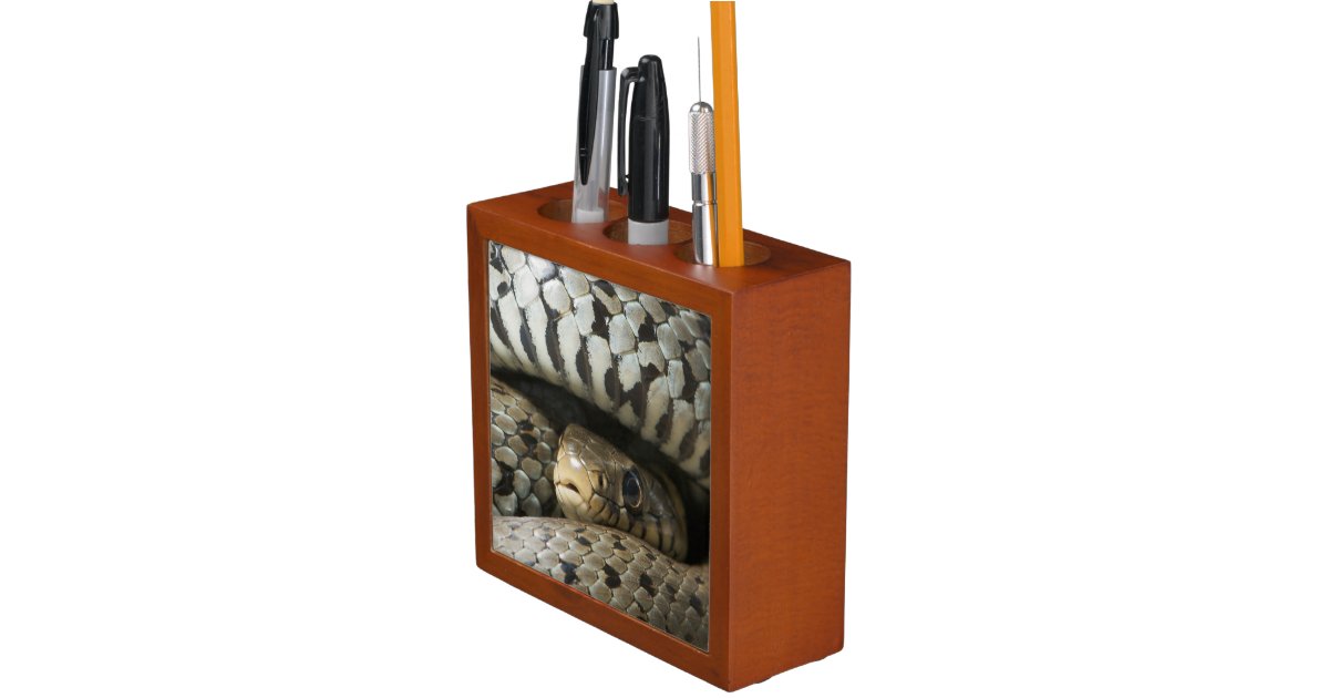 Snake Pencil Holder Zazzle
