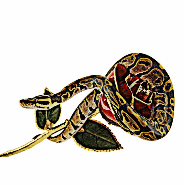 Snake photo sculpture python (Front)