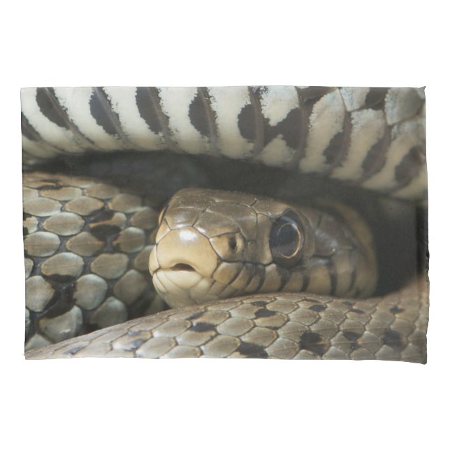 Snake Pillow Case (Front)