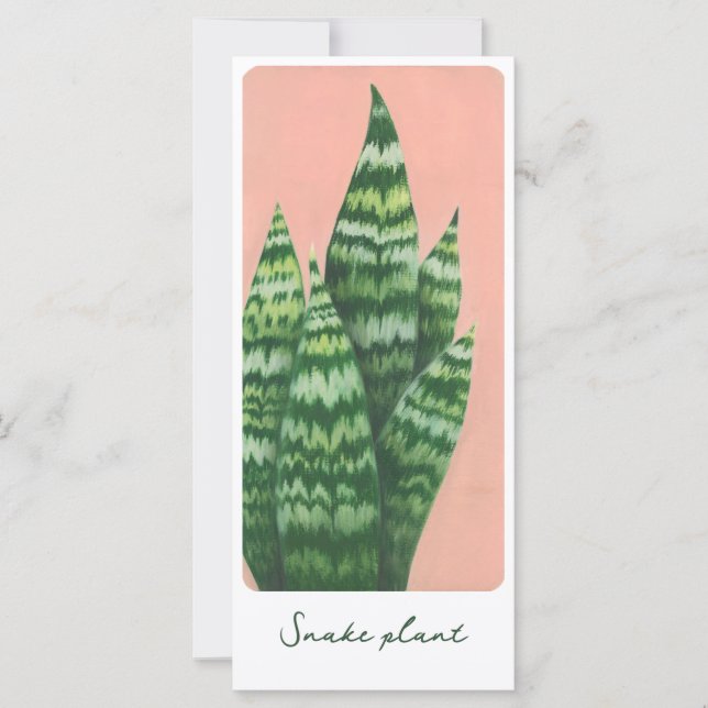 Snake plant gouache illustration card (Front)