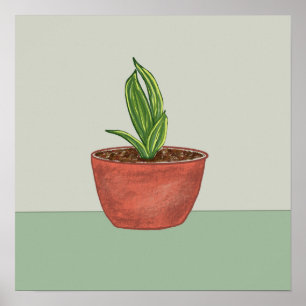 Snake Plant Illustration Poster