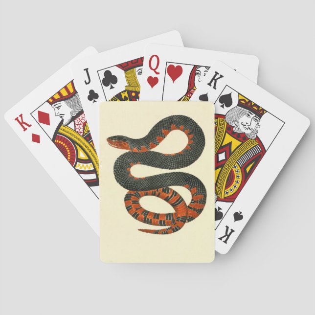 Snake Playing Cards (Back)