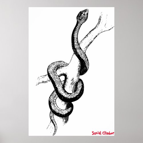 Snake Poster
