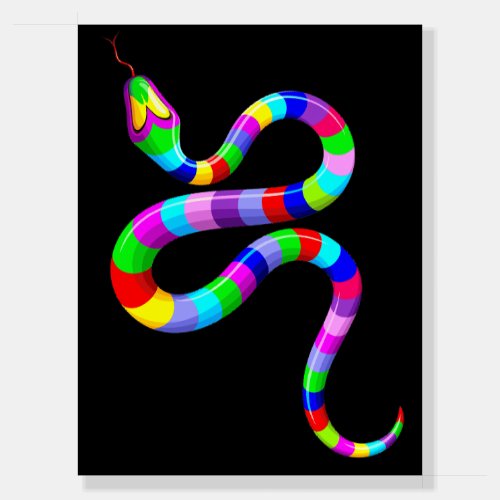 Snake Psychedelic Rainbow Colors Foam Board