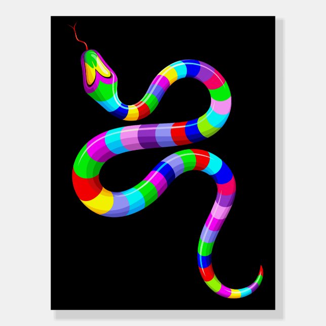 Snake Psychedelic Rainbow Colors Foam Board (Front)