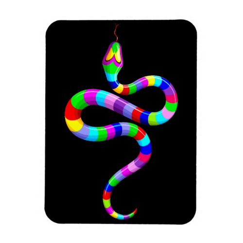 Snake Psychedelic Rainbow Colors Magnet