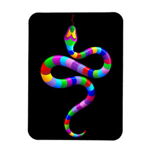 Snake Psychedelic Rainbow Flexi Magnet