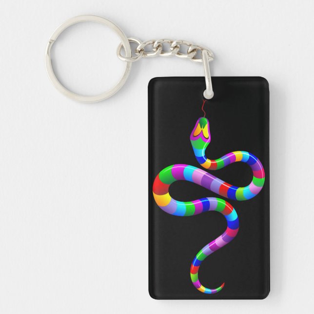 Snake Psychedelic Rainbow keychain (Front)