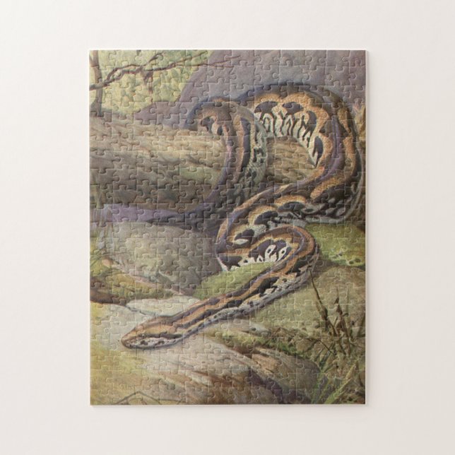 Snake Puzzle Illustration (Vertical)