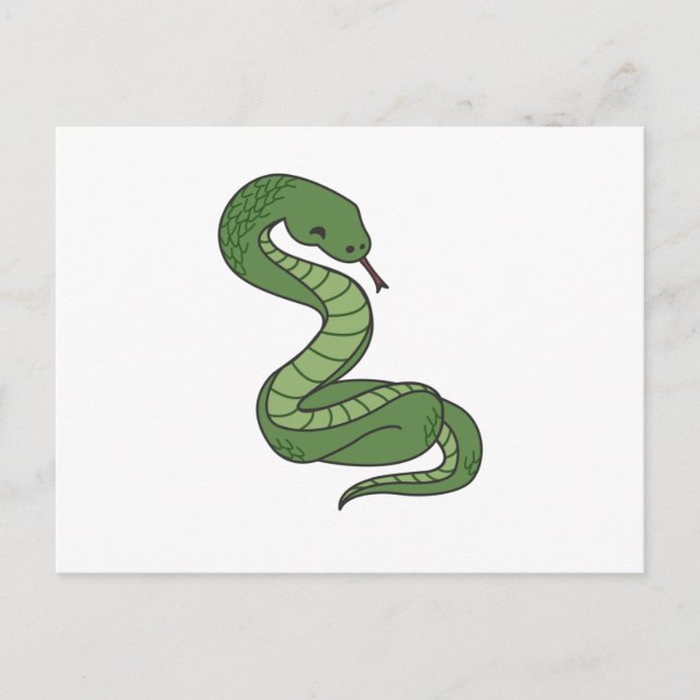 Snake Reptile Snakes For Animal Friends Postcard (Front)