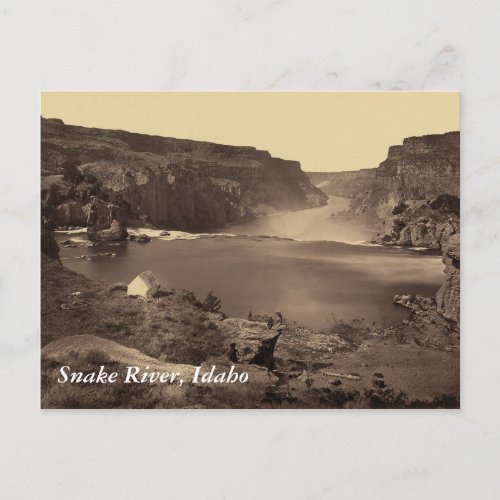 Snake River Soshone Falls Idaho Vintage Postcard