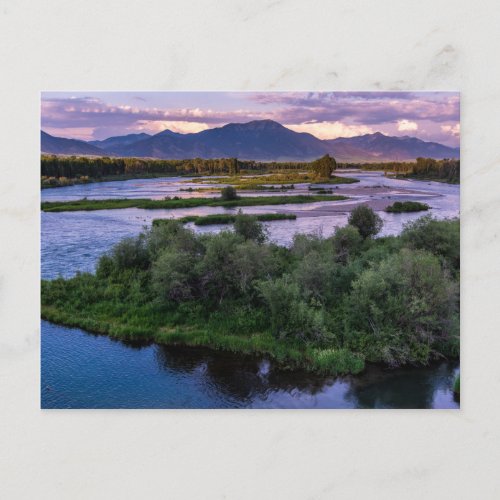 Snake River Sunset _ Swan Valley _ Idaho Postcard