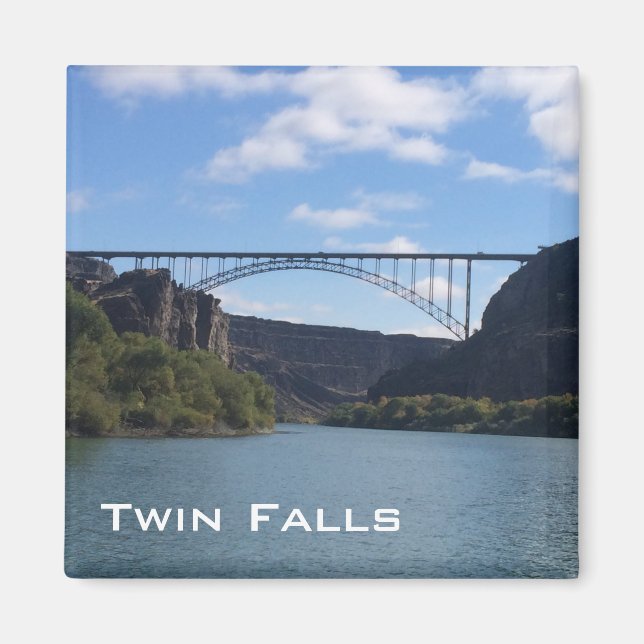 Snake river - Twin Falls Magnet (Front)
