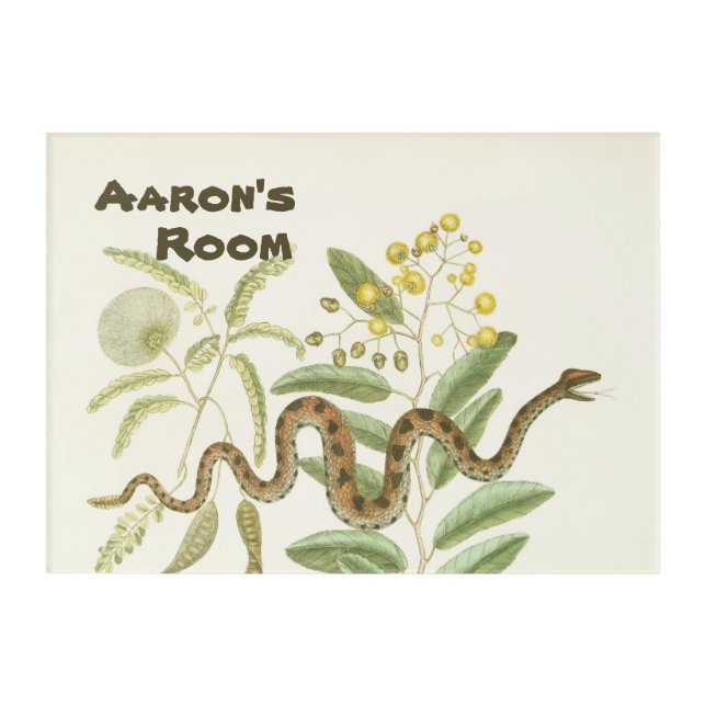 Snake Room Decor (Front)