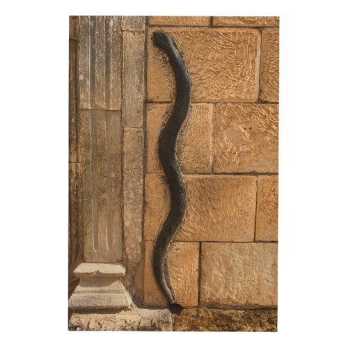Snake Sculpture At Amna Suraka Wood Wall Decor