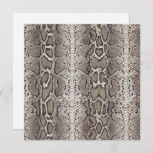 Snake Skin Animal Print (Front/Back)