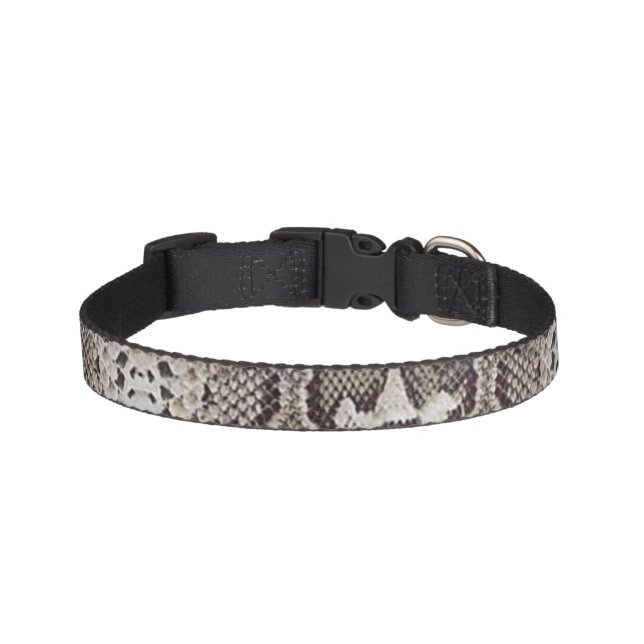 Snake Skin Animal Print Pet Collar (Front)