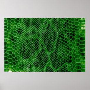 Snake skin background poster