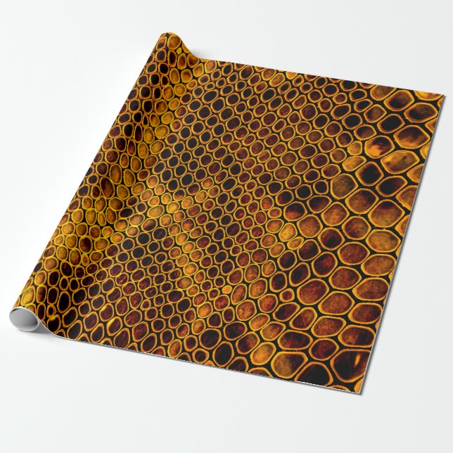 Snake skin background wrapping paper (Unrolled)