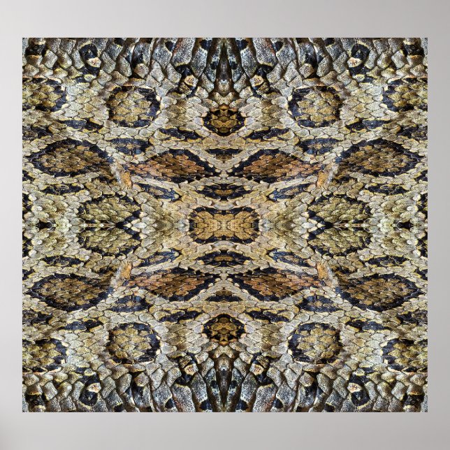 Snake Skin Pattern Texture Poster (Front)