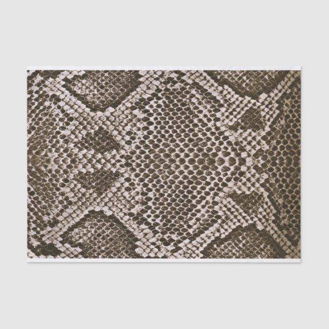 Snake skin tissue paper (Front)