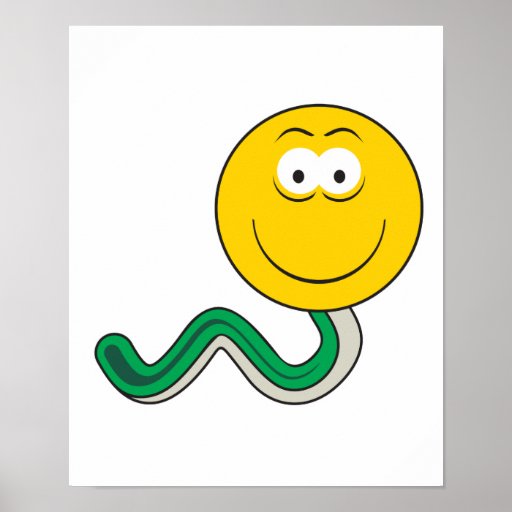 Snake Smiley Face Posters