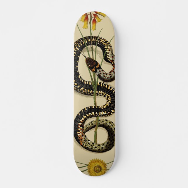 Snake & Wildflowers in sand Skateboard (Front)