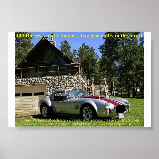 SnakeNGrass Poster (Front)