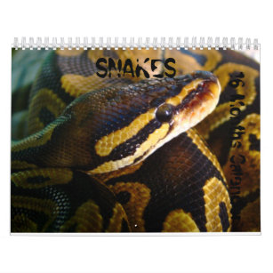 Snakes  16 months Calender Calendar