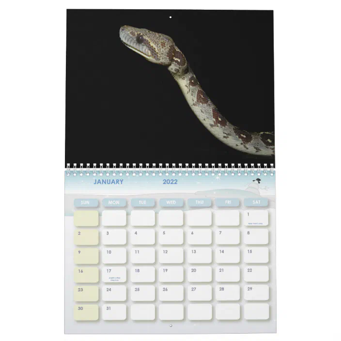 Snakes 16 Months Calender Calendar | Zazzle.com