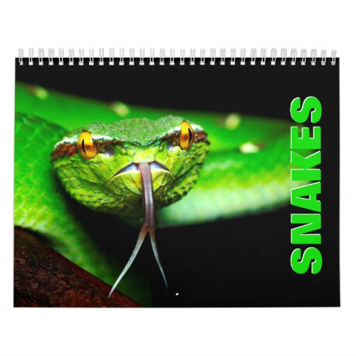 Snakes 1 Wall Calendar