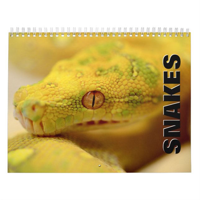 Snakes [2] Wall Calendar (Cover)
