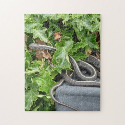 Snakes Alive It is a Garter Snake Jigsaw Puzzle