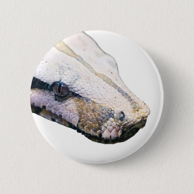 snakes- amazonian constrictor boa pinback button (Front)