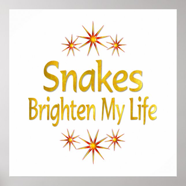 Snakes Brighten My Life Poster (Front)