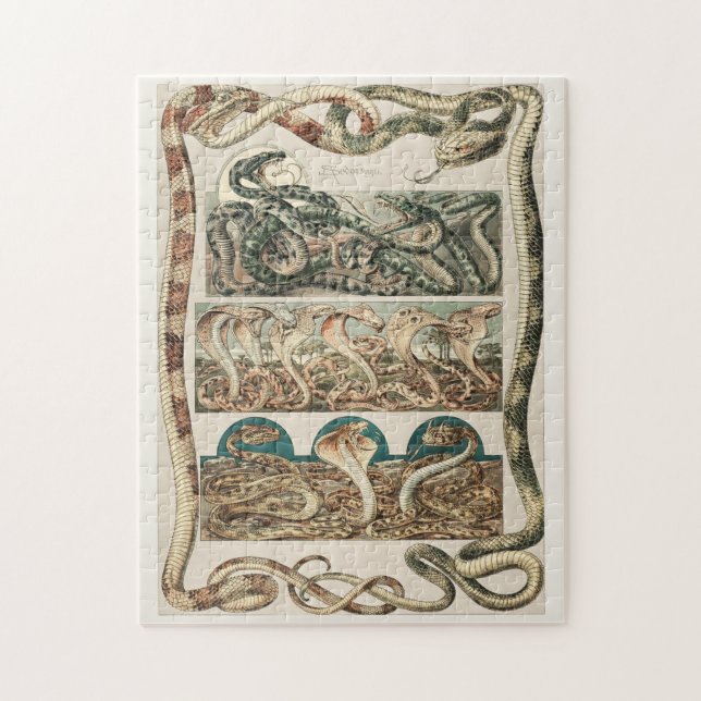 Snakes, cobra, viper, art nouveau by Anton Seder Jigsaw Puzzle (Vertical)
