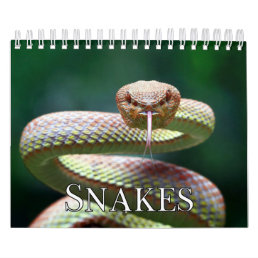 Snakes Collection Wall Calendar