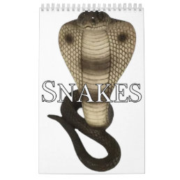 Snakes Collection Wall Calendar