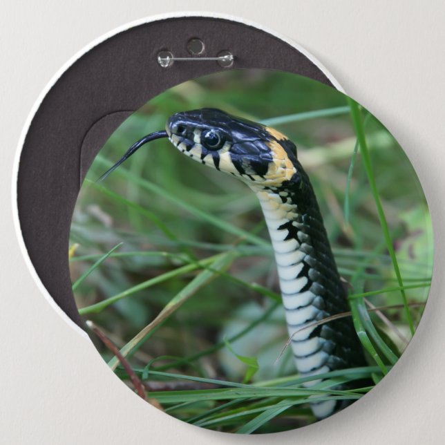 Snake's Head Button (Front & Back)