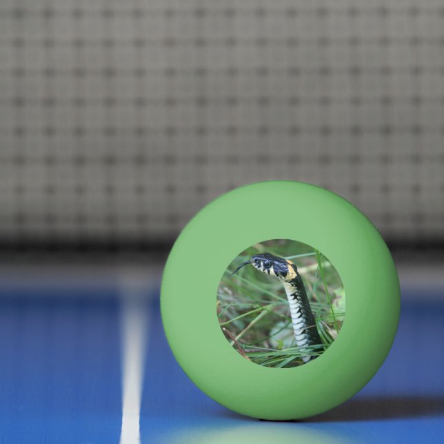 Snake's Head Ping Pong Ball (Net)