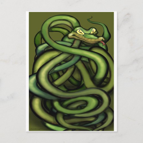 Snakes Postcard