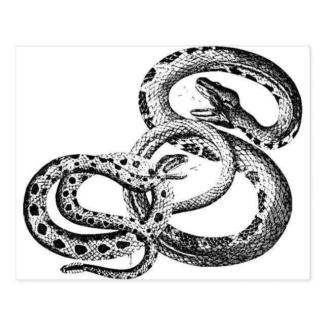 Snakes Rubber Stamp  (Imprint)