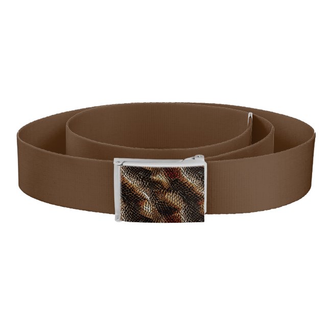 Snakeskin Belt (Coil)
