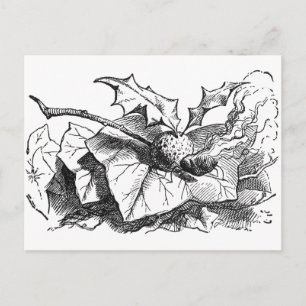 Snap Dragon Fly Postcard
