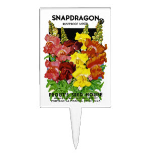 Snap Dragon Vintage Seed Packet Cake Topper