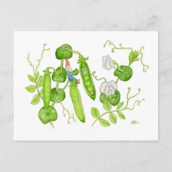 Snap Pea Gnome Postcard by PainterPlace at Zazzle
