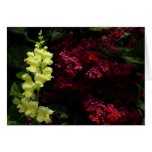 Snapdragon and Pagoda Flowers Colorful Floral