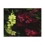 Snapdragon and Pagoda Flowers Colorful Floral Postcard